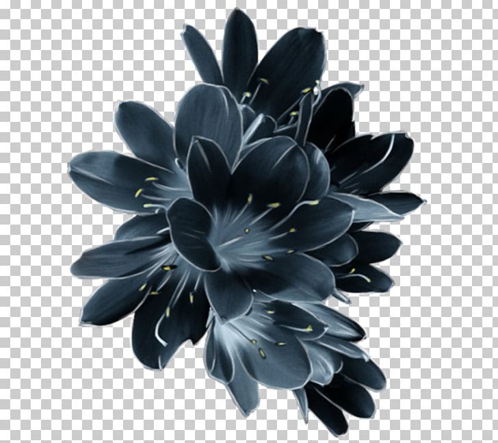 Flower Crown PNG, Clipart, Art, Black And White, Blue, Color Depth, Crown Free PNG Download