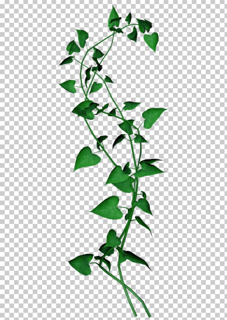 Flower PNG, Clipart, Branch, Flora, Flower, Flowering Plant, Flowerpot Free PNG Download