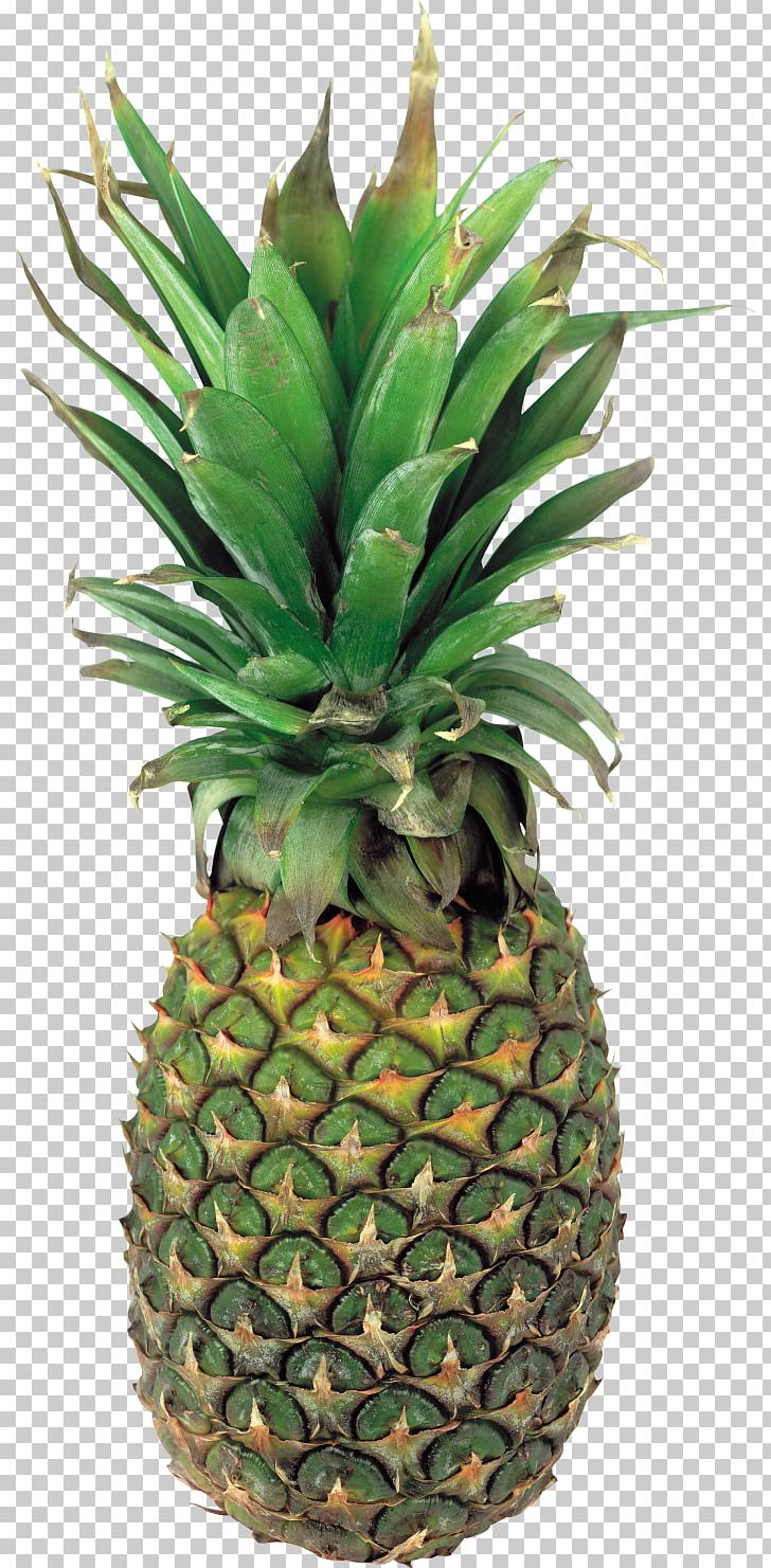 Pineapple Portable Network Graphics Juice Fruit PNG, Clipart, Ananas, Berries, Bromeliaceae, Flowerpot, Food Free PNG Download