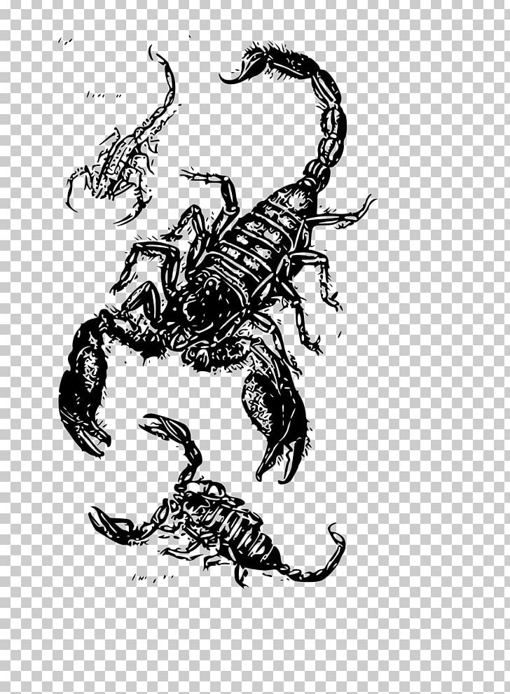 Scorpion Drawing PNG, Clipart, Art, Arthropod, Black And White, Can Stock Photo, Claw Free PNG Download