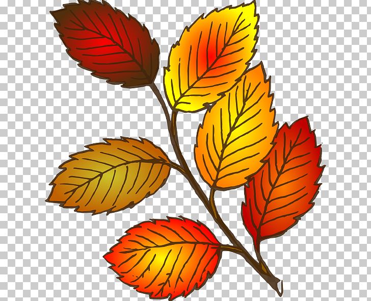 Autumn Leaf Color PNG, Clipart, Autumn, Autumn Cliparts, Autumn Leaf Color, Blog, Branch Free PNG Download