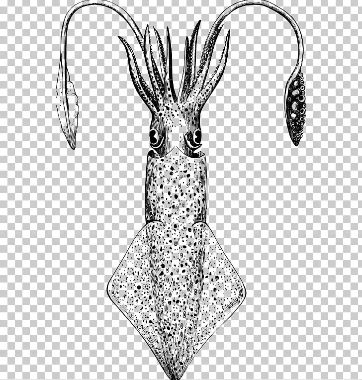 European Squid Drawing Line Art Giant Squid PNG, Clipart, Animal, Art, Artwork, Black And White, Body Jewelry Free PNG Download