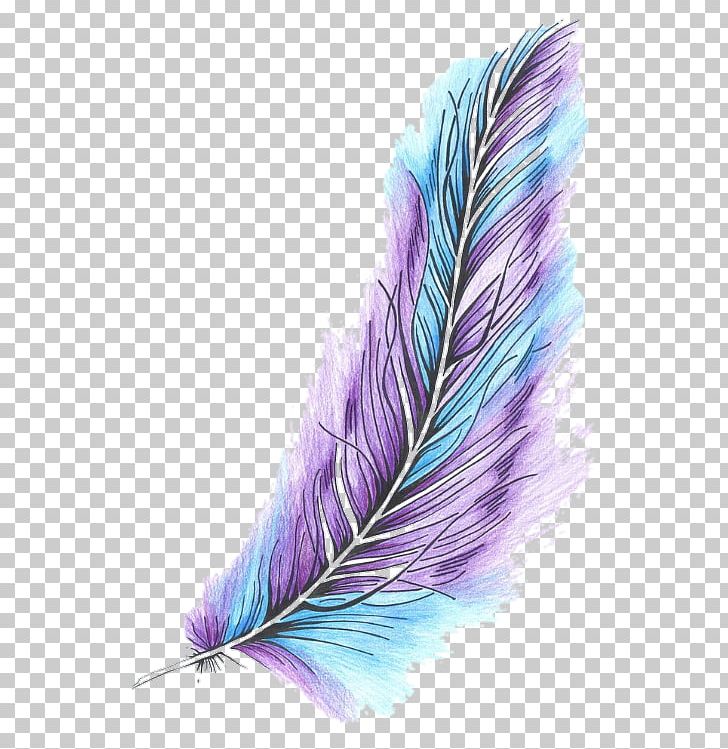 Feather Bird Color Quill Owl PNG, Clipart, Animals, Bird, Blue, Color, Drawing Free PNG Download