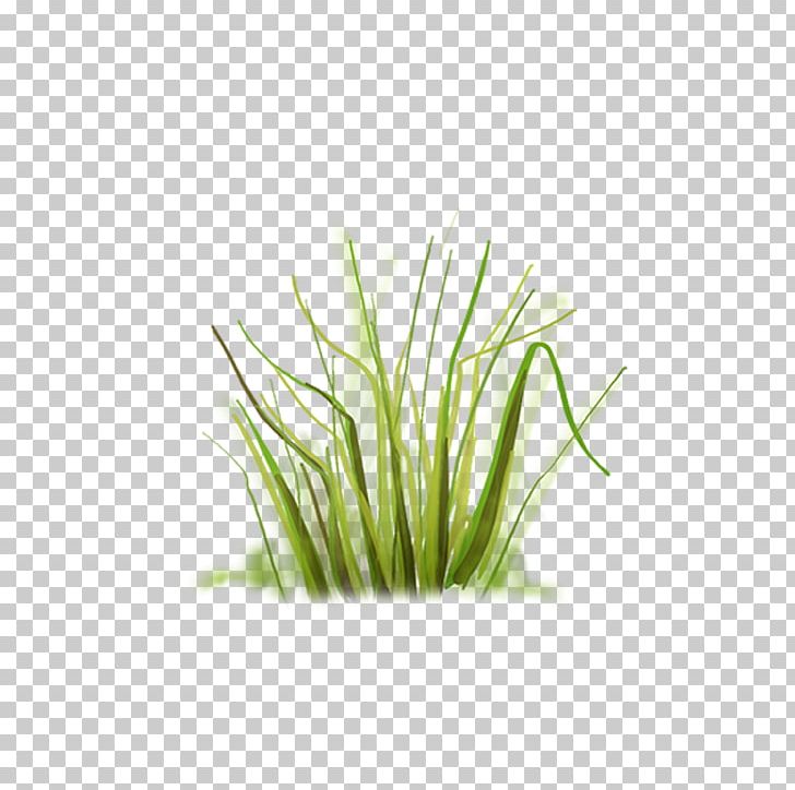 Grass PNG, Clipart, Artificial Grass, Cartoon Grass, Clip Art, Creative Grass, Flower Free PNG Download
