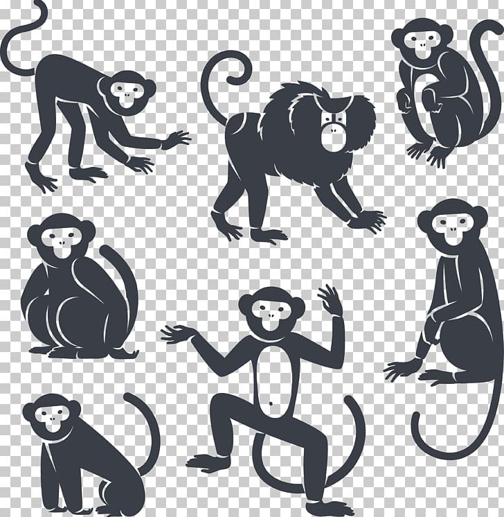 Monkey Marmoset PNG, Clipart, Animals, Art, Black And White, Carnivoran, Cat Like Mammal Free PNG Download