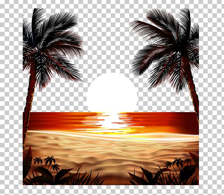 Euclidean Sunrise Field PNG, Clipart, Adobe Illustrator, Arecaceae, Arecales, Coco, Computer Wallpaper Free PNG Download