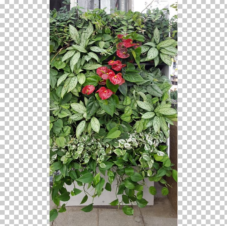 Flowerpot Herb Shrub PNG, Clipart, Flower, Flowerpot, Herb, Plant, Shrub Free PNG Download