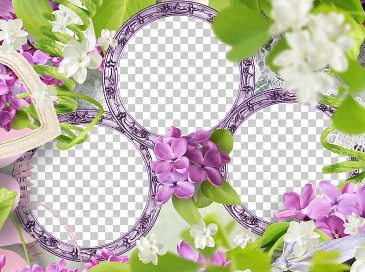 Frames Photography Desktop Collage PNG, Clipart, Collage, Desktop Wallpaper, Flora, Floral Design, Flower Free PNG Download