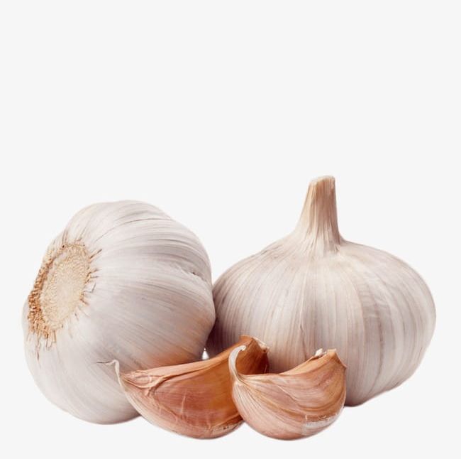 Garlic PNG, Clipart, Garlic, Garlic Clipart, Garlic Smell, Smell, Vegetables Free PNG Download