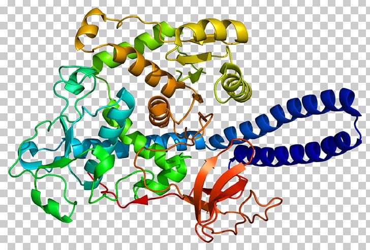 FUT8 Fucosyltransferase Protein FUT2 Fucosylation PNG, Clipart, Area, Artwork, Body Jewelry, Bond, Enzyme Free PNG Download