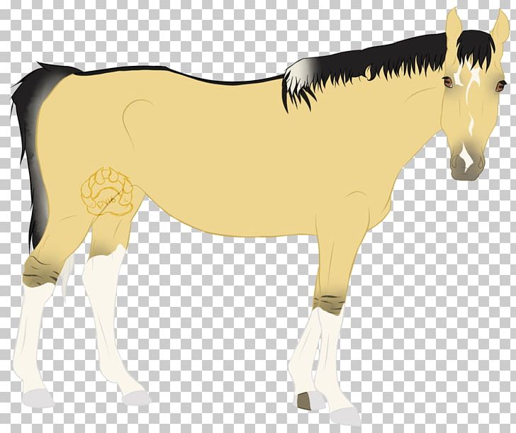 Mule Foal Mare Stallion Mustang PNG, Clipart,  Free PNG Download