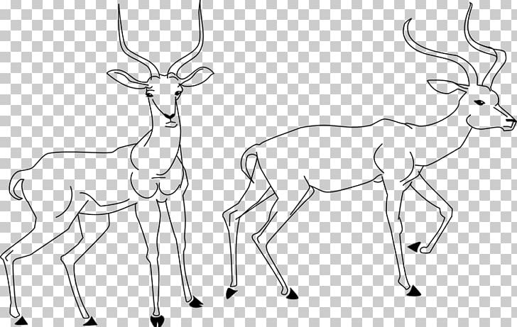 Reindeer Antelope Drawing Line Art PNG, Clipart, Antelope, Antler, Artwork, Black And White, Cartoon Free PNG Download