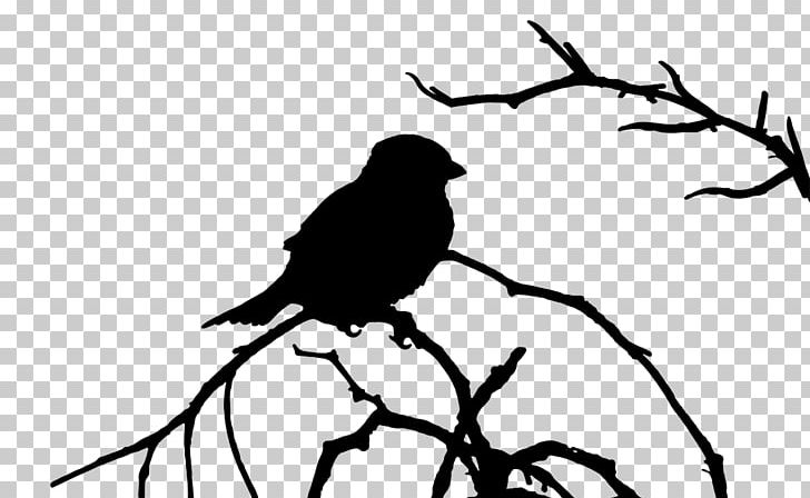 American Crow Bird Silhouette PNG, Clipart, American Crow, Animals, Beak, Bird, Bird In The Tree Free PNG Download