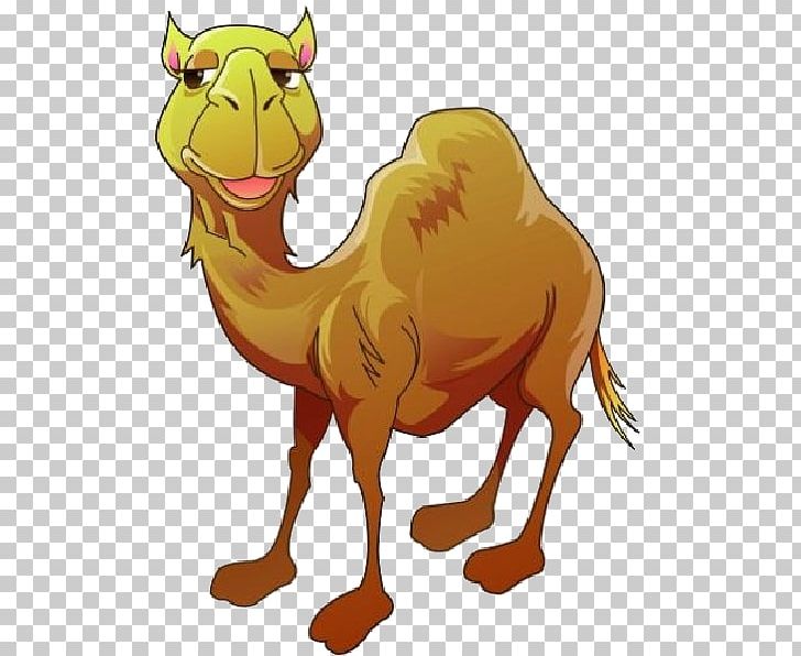 Bactrian Camel Dromedary Cartoon PNG, Clipart, Animal Figure, Animals, Animation, Arabian Camel, Bactrian Camel Free PNG Download