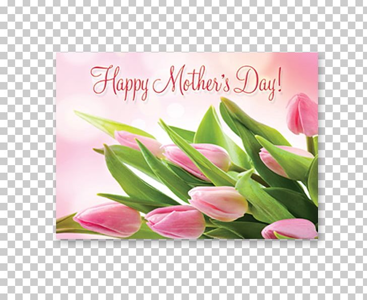 Mother's Day Floral Design Gift Tulip PNG, Clipart,  Free PNG Download