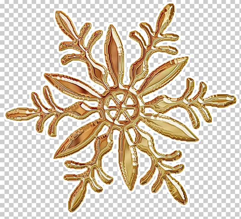 Leaf Brooch Plant Flower Metal PNG, Clipart, Brooch, Edelweiss, Flower, Gold, Jewellery Free PNG Download