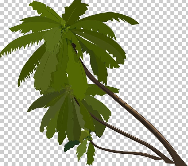 Animation Tree Arecaceae PNG, Clipart, Animation, Arecaceae, Branch, Clip Art, Computer Icons Free PNG Download