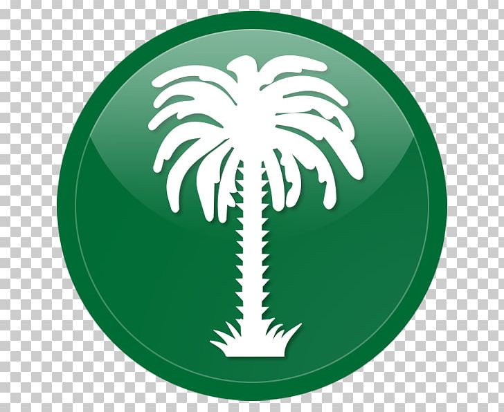 Flag Of Saudi Arabia House Of Saud National Flag PNG, Clipart, Arabian Peninsula, Circle, Emblem Of Saudi Arabia, Flag, Flag Of Cyprus Free PNG Download