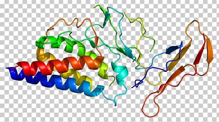 IL-2 Receptor Interleukin-2 IL2RA Common Gamma Chain PNG, Clipart, Body Jewelry, Common Gamma Chain, Cytokine, Food, G Alpha Subunit Free PNG Download