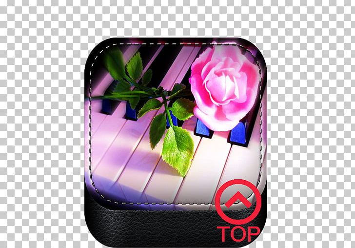 Pink M PNG, Clipart, App, Flower, Flowering Plant, Instrument, Love Free PNG Download