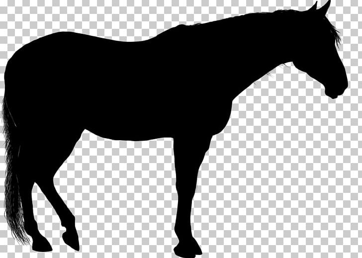 Arabian Horse Silhouette PNG, Clipart, Animals, Black And White, Bridle, Colt, Drawing Free PNG Download