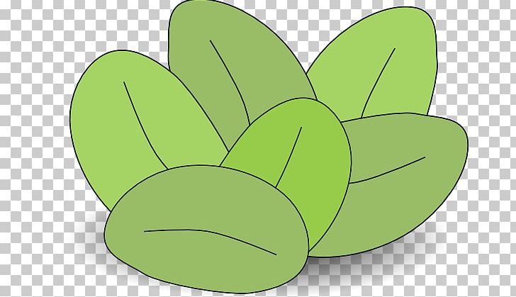 Flowering Plant PNG, Clipart, Animal, Clinical Nutrition, Flowering Plant, Food, Fruit Free PNG Download