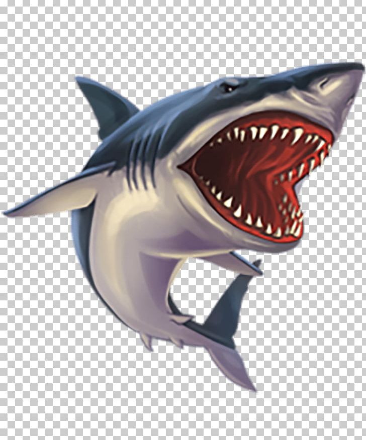 Tiger Shark Great White Shark PNG, Clipart, 3d Computer Graphics, 7 Days, Animal, Animals, Bull Shark Free PNG Download