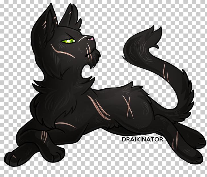 Black Cat Into The Wild Nightstar Warriors PNG, Clipart, Animals, Black, Carnivoran, Cat Like Mammal, Dog Free PNG Download