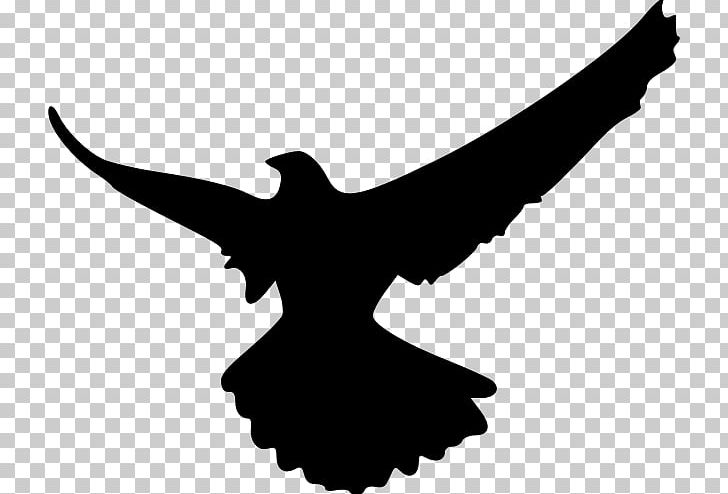 Falcon Silhouette PNG, Clipart, Beak, Bird, Black And White, Drawing, Eagle Free PNG Download