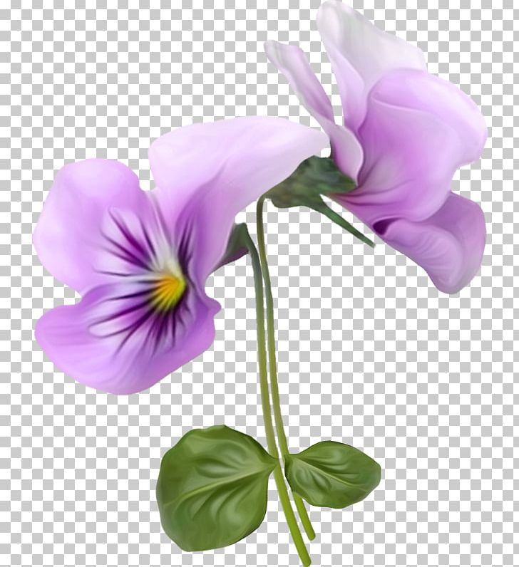 Flower Violet Pansy PNG, Clipart, Annual Plant, Artificial Flower, Cut Flowers, Flower, Flowering Plant Free PNG Download