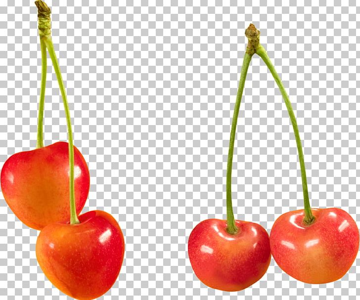 Cerasus Sweet Cherry Fruit Berry PNG, Clipart, Acerola, Apple, Behealthy, Cerasus, Cherry Free PNG Download