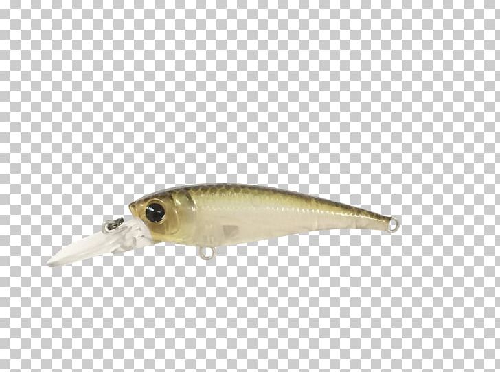 Fishing Baits & Lures Spoon Lure Plug PNG, Clipart, Australia, Bait, Fish, Fishing, Fishing Bait Free PNG Download