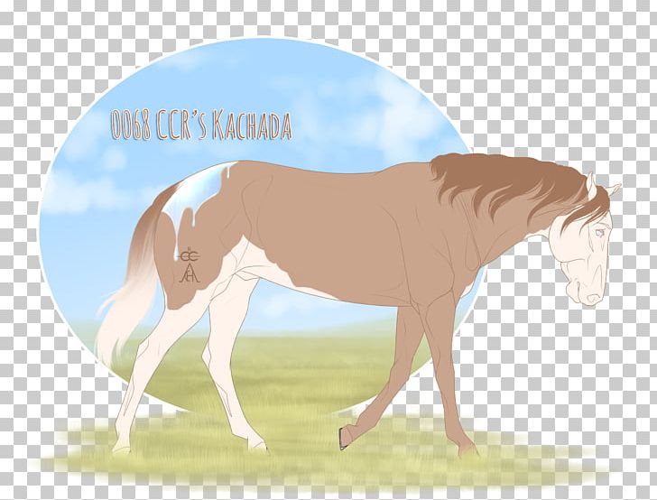Foal Mane Stallion Mare Colt PNG, Clipart, Bridle, Cartoon, Colt, Fauna, Foal Free PNG Download