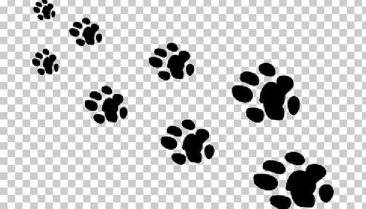 Giant Panda Bear Paw Animal Footprint PNG, Clipart, 2017, Animal, Animals, Bear, Bear Paw Free PNG Download