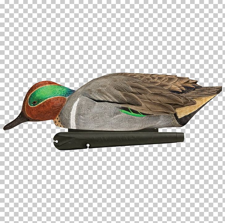 Mallard Duck Decoy Goose Duck Decoy PNG, Clipart, Animals, Anseriformes, Beak, Bird, Canada Goose Free PNG Download