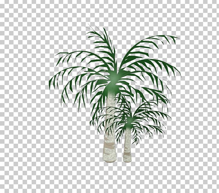 Arecaceae Coconut Plane Tree PNG, Clipart, Arecales, Christmas Tree, Coconut, Dimension, Download Free PNG Download
