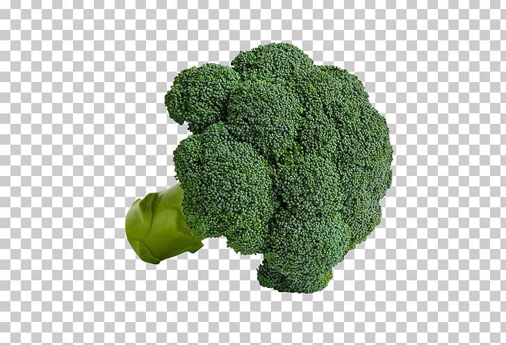Broccoli Herb PNG, Clipart, Broccoli, Grass, Herb, Leaf Vegetable, Superfood Free PNG Download