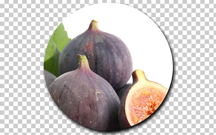 Common Fig Fig Leaf Auglis Stock Photography Fruit PNG, Clipart, Acne, Antioxidant, Auglis, Barbary Fig, Common Fig Free PNG Download