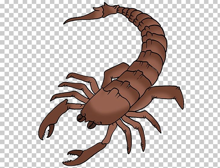 Scorpion PNG, Clipart, Arachnid, Arthropod, Claw, Clip, Computer Free PNG Download