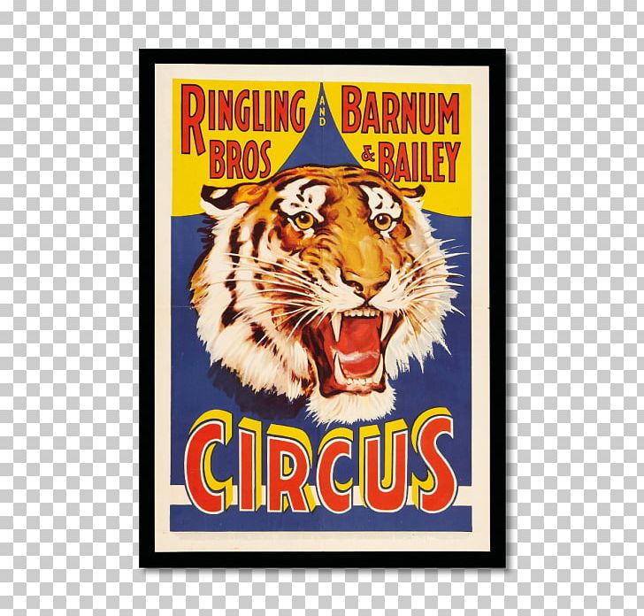 United States Of America Tiger Ringling Bros. And Barnum & Bailey Circus Ringling Brothers PNG, Clipart, Advertising, Art, Big Cats, Canvas, Carnivoran Free PNG Download