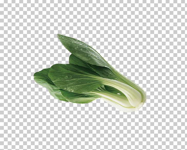 Leaf Vegetable Bok Choy Cabbage PNG, Clipart, Background Green, Bok Choy, Cabbage, Chinese Cabbage, Download Free PNG Download