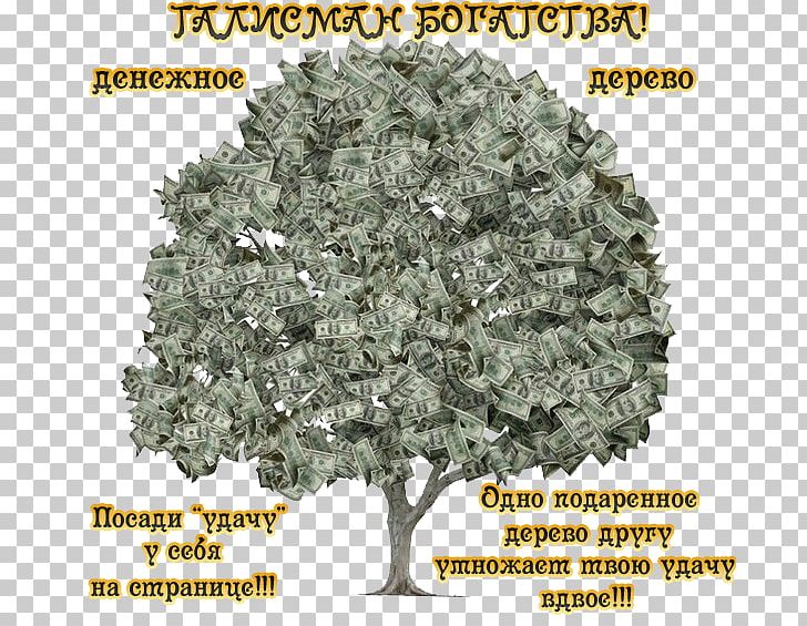 Money Bag Finance Accounting Loan PNG, Clipart, Accounting, Asset, Broad Money, Coin, Deposit Account Free PNG Download
