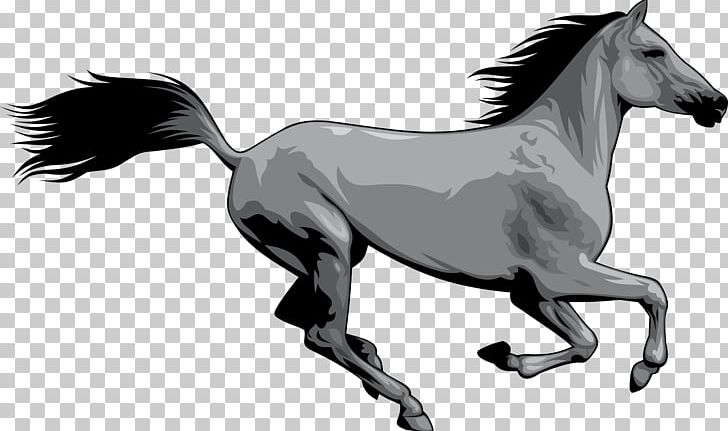 Mustang American Paint Horse Wild Horse PNG, Clipart, Animal, Animals, Black And White, Encapsulated Postscript, Fictional Character Free PNG Download