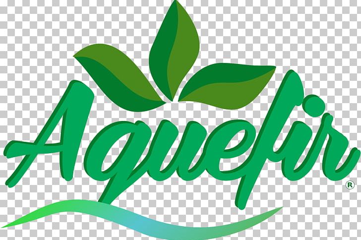 Leaf Logo Brand Plant Stem Font PNG, Clipart, Area, Brand, Grass, Green, Leaf Free PNG Download