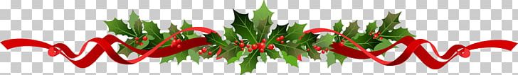 Poinsettia Drawing PNG, Clipart, Bell Peppers And Chili Peppers, Birds Eye Chili, Christmas, Christmas Decoration, Closeup Free PNG Download