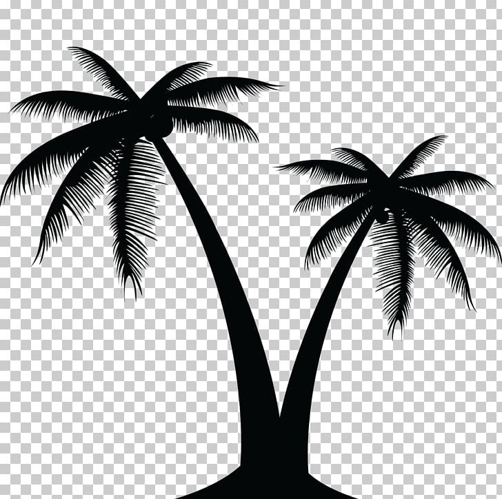 Arecaceae Tree PNG, Clipart, Arecaceae, Arecales, Art, Black And White, Branch Free PNG Download