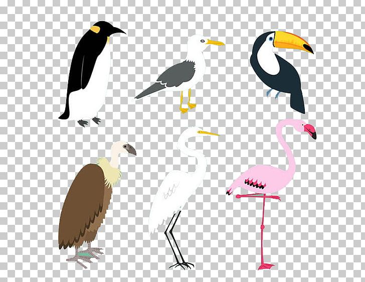 Bird Penguin Little Egret PNG, Clipart, Animal, Animals, Art, Beak, Bird Free PNG Download