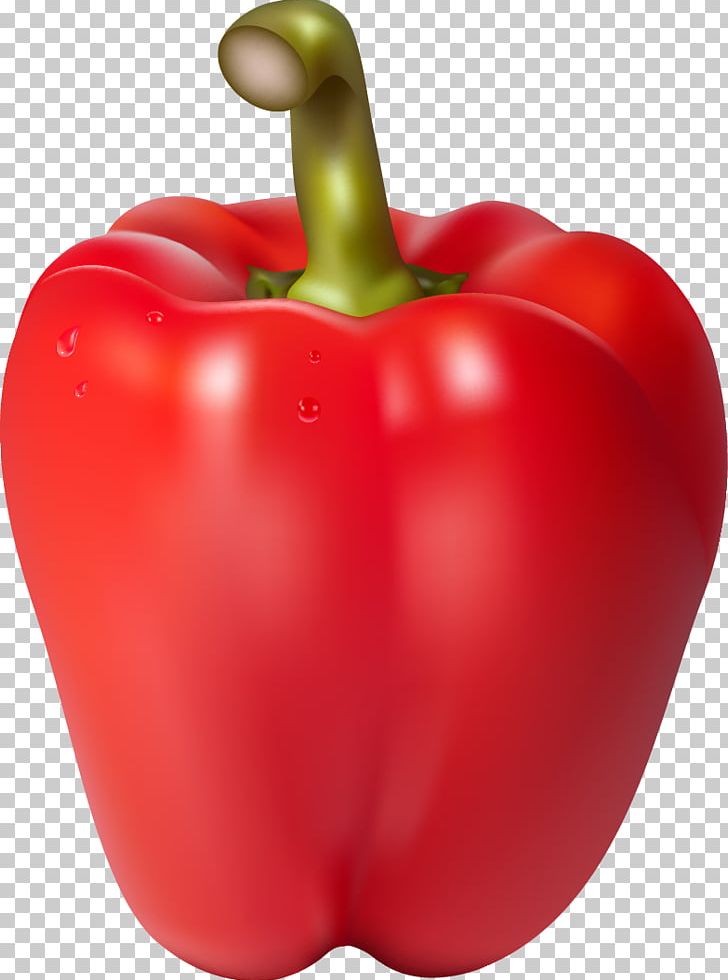 Chili Con Carne Bell Pepper Chili Pepper Habanero PNG, Clipart, Apple, Bell Pepper, Bell Peppers And Chili Peppers, Black Pepper, Cap Free PNG Download