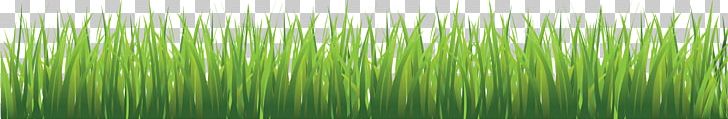 Grass PNG, Clipart, Grass Free PNG Download