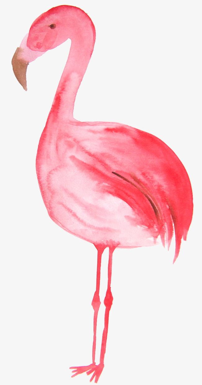 Red Hand Painted Flamingo PNG, Clipart, Animal, Animals In The Wild, Backgrounds, Beak, Bird Free PNG Download